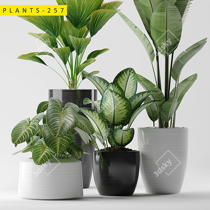 Botanical Beauty: Plants 257 Collection 3D model image 3