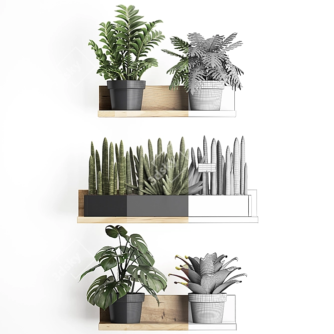 Vertical Garden Collection: Bromelia, Monstera, Zamioculcas 3D model image 3