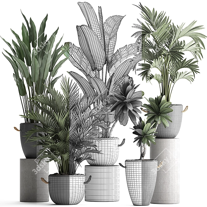 Exotic Houseplant Collection 3D model image 3