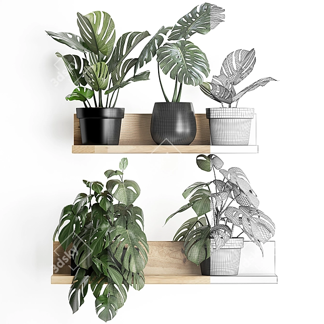 Exotic Monstera: Vertical Garden Collection 3D model image 3