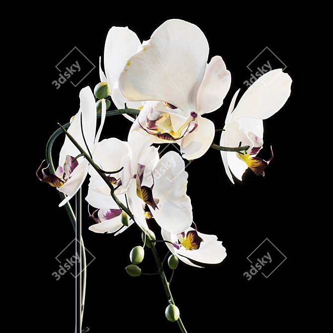 Elegant Flower Bouquet 3D model image 2