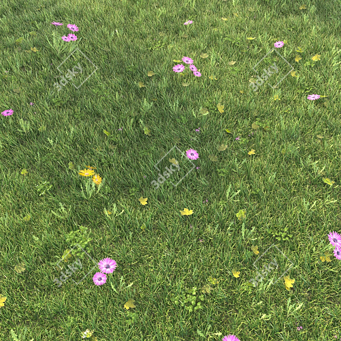 Realistic Grass Landscaping Model 3D model image 2