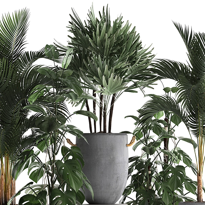 Exotic Indoor Plant Collection 3D model image 2