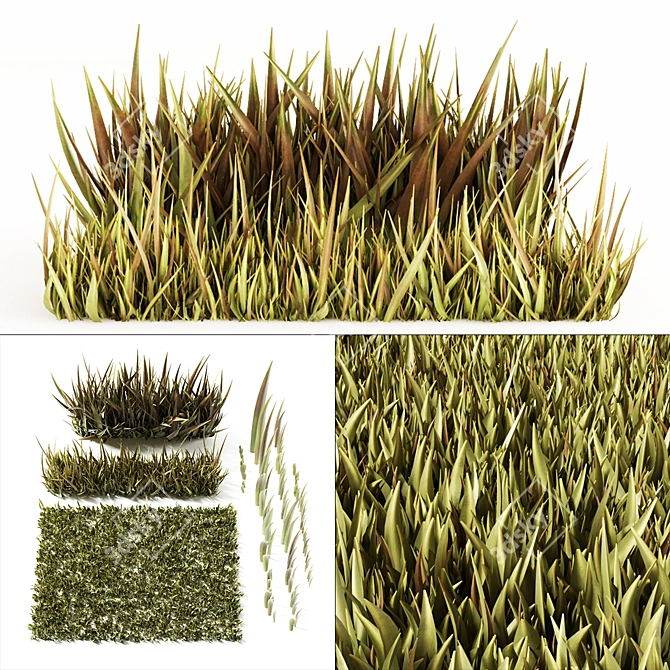  High-Quality 3D Grass Model 3D model image 1