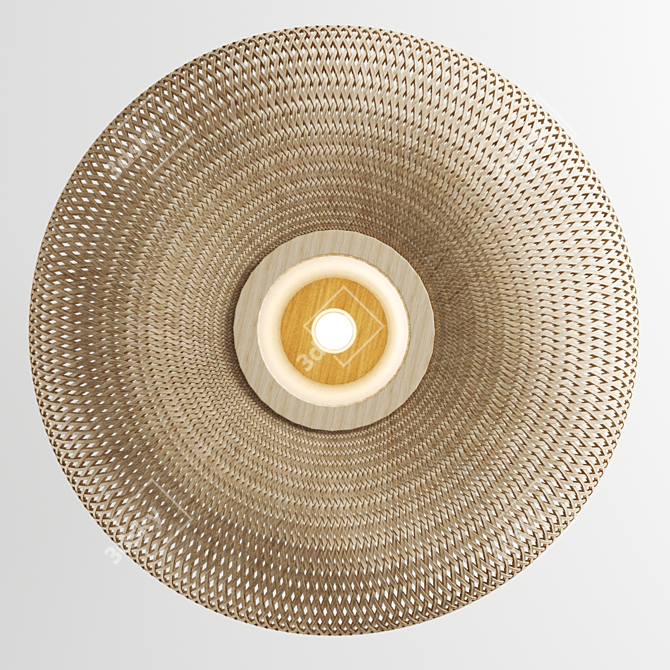 Ay Illuminate Bamboo Ceiling Lamp 3D model image 3