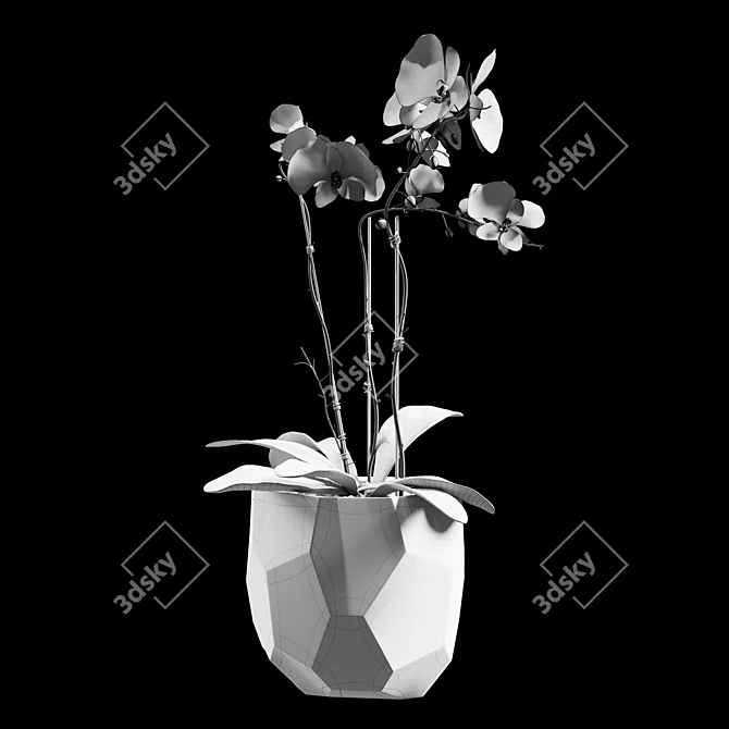 Elegant Floral Arrangement 3D model image 3