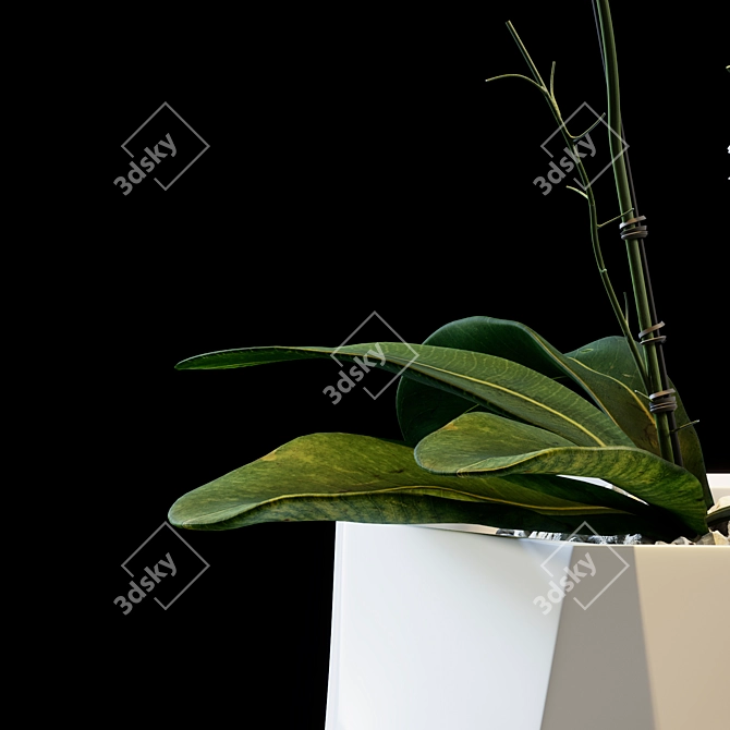 Elegant Floral Arrangement 3D model image 4