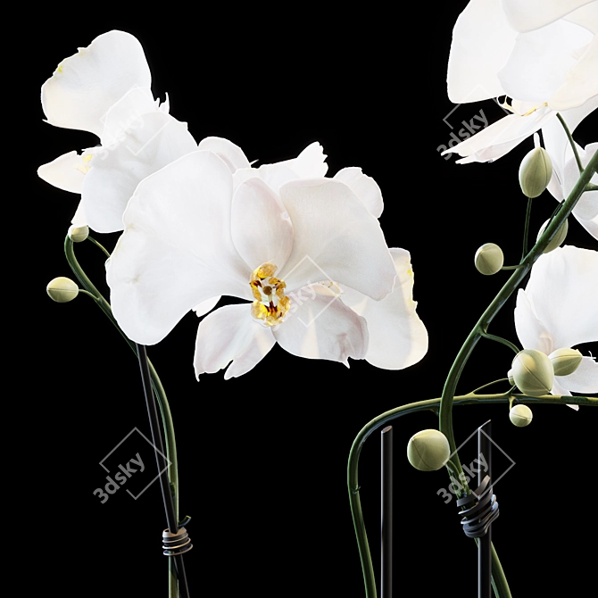 Elegant Floral Arrangement 3D model image 5