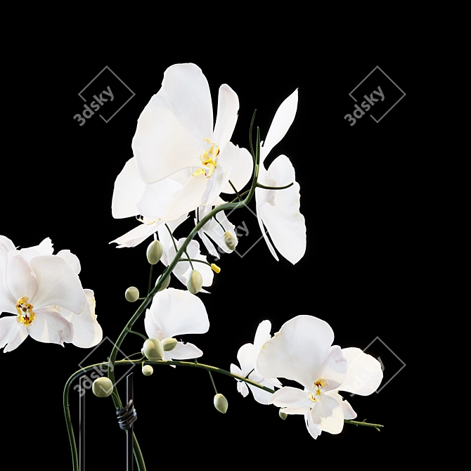 Elegant Floral Arrangement 3D model image 6