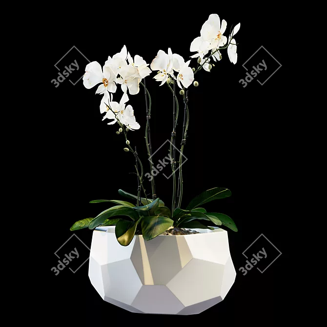 Elegant Blooming Bouquet 3D model image 1