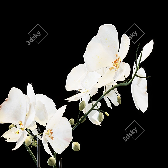 Elegant Blooming Bouquet 3D model image 2