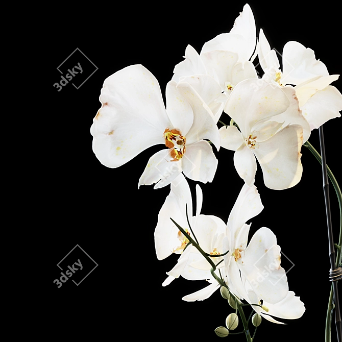 Elegant Blooming Bouquet 3D model image 5