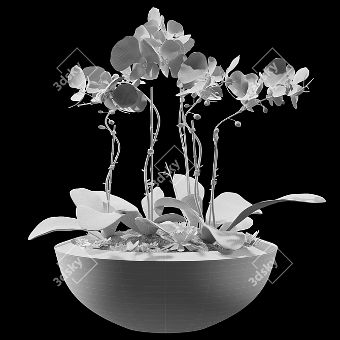 Elegant Blooms 05 3D model image 3