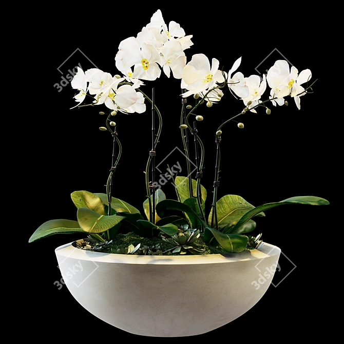 Elegant Blooms 05 3D model image 4