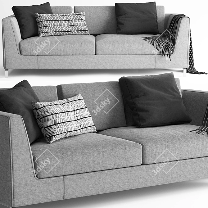 Elegant Ray Sofa by B&B Italia 3D model image 1