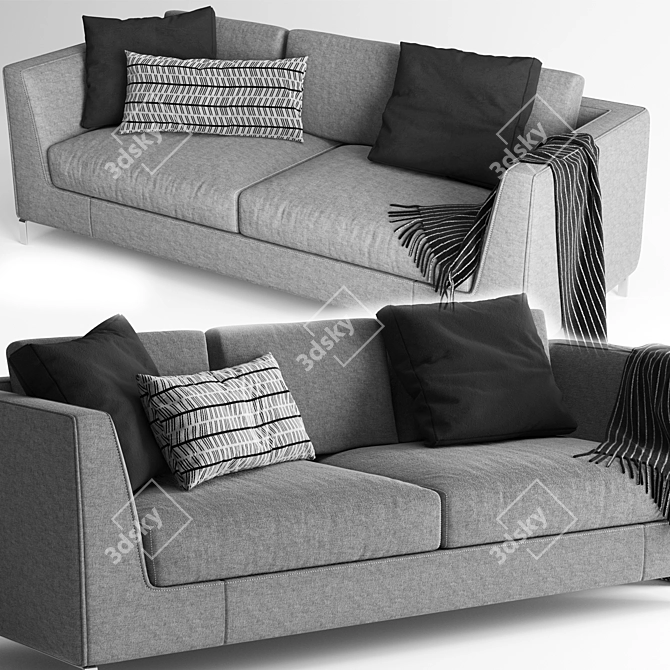 Elegant Ray Sofa by B&B Italia 3D model image 2