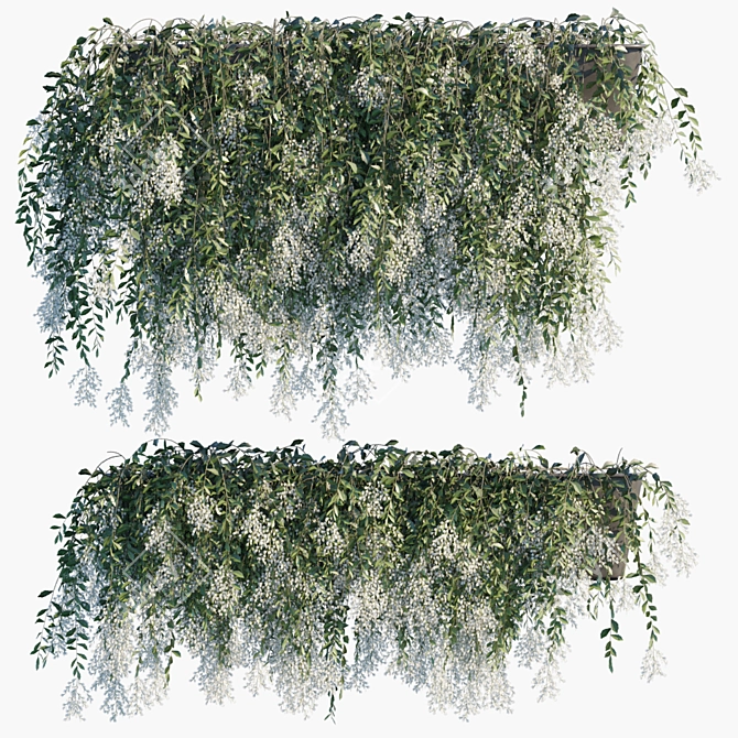 Vibrant Vernonia: Flowering Plant in Pots 3D model image 1