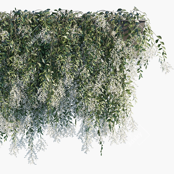 Vibrant Vernonia: Flowering Plant in Pots 3D model image 2