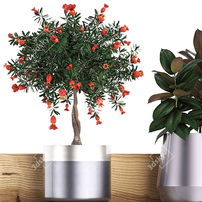 Exotic Indoor Plant Collection 3D model image 2