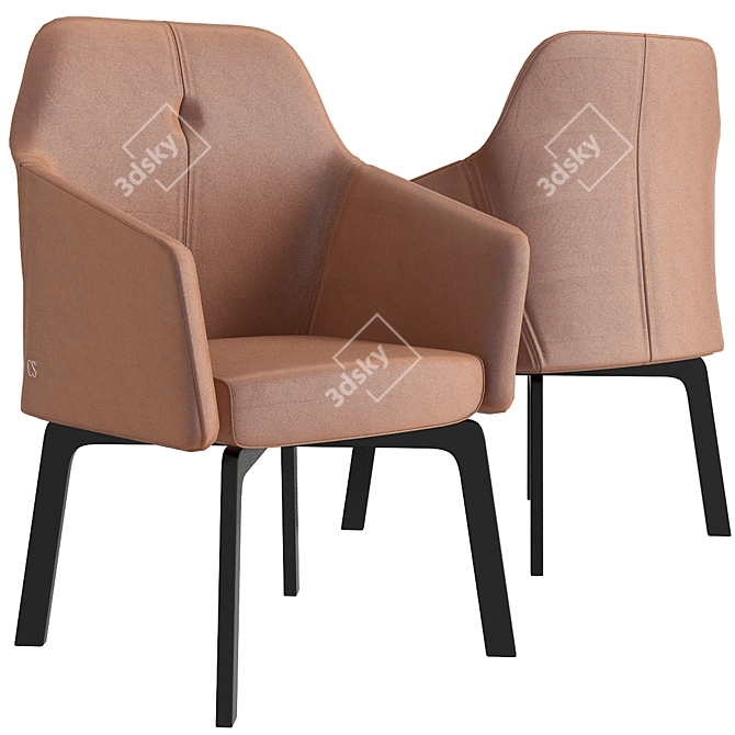 Luxury Leather DS 279 Chair 3D model image 1
