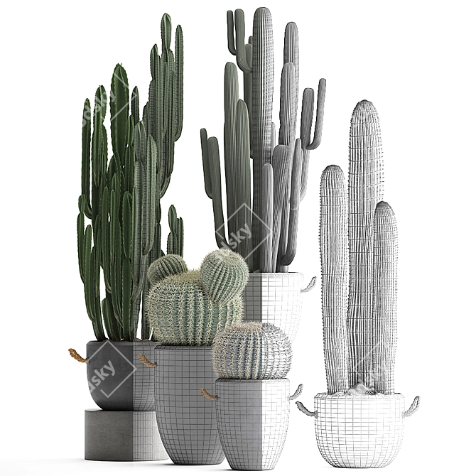 Exotic Cactus Collection - 411 Varieties 3D model image 3