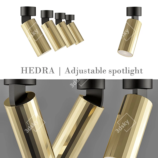 Hedra Adjustable Spotlight: Versatile and Stylish 3D model image 1