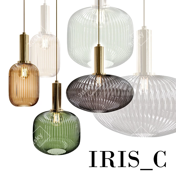 Modern Iris_C Pendant Light - Silve 3D model image 1