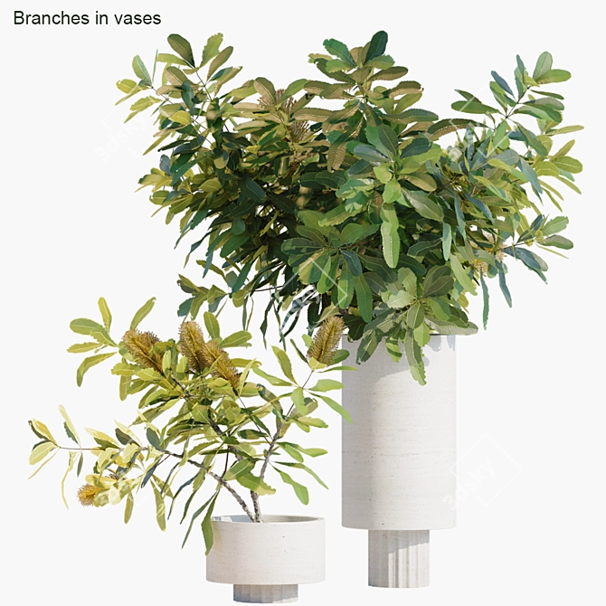 Elegant Branches in Vases 3D model image 1