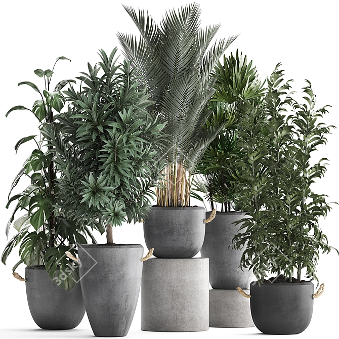 Exotic Indoor Plant Collection 3D model image 1