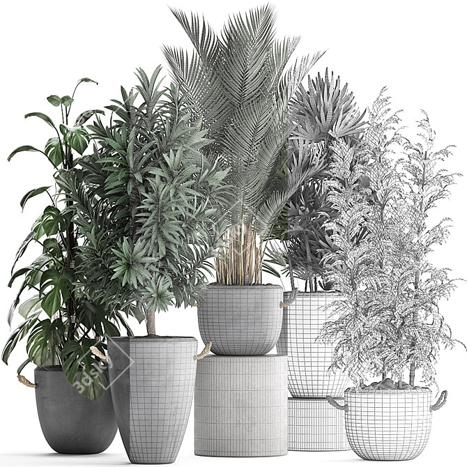 Exotic Indoor Plant Collection 3D model image 3