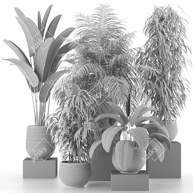 Tropical Oasis: Houseplant Collection 3D model image 3