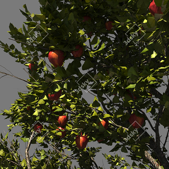 AppleTree Model 3D model image 2