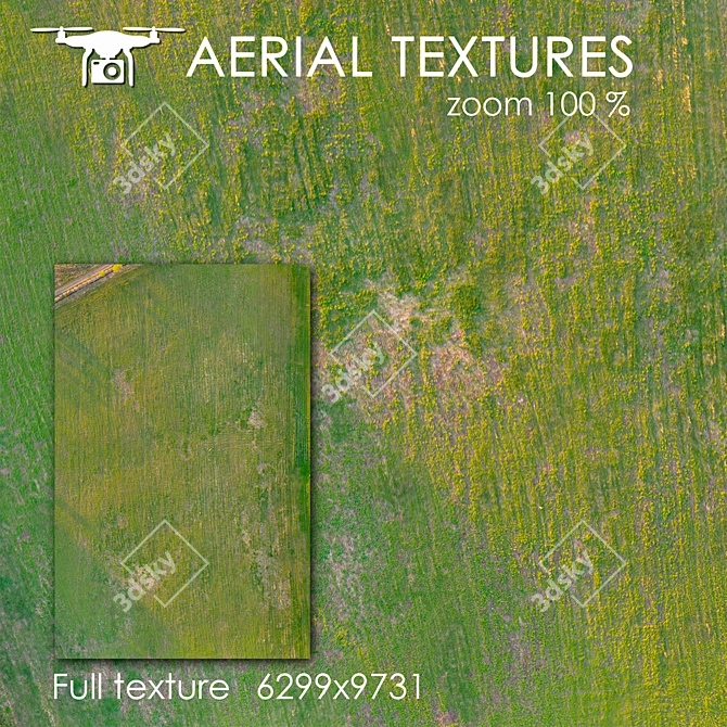 Aerial 259: Unique Exterior Texture 3D model image 1