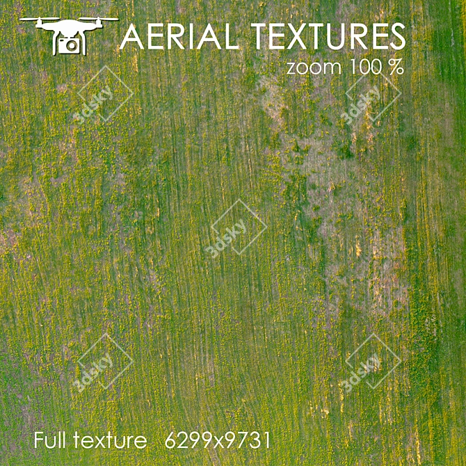 Aerial 259: Unique Exterior Texture 3D model image 2