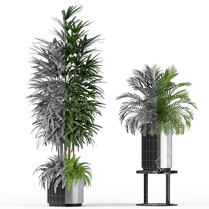 Botanical Oasis: Plants Collection 206 3D model image 3