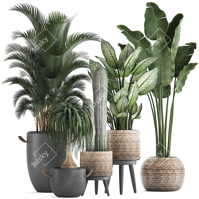 Exotic Plant Collection: Palms, Cacti, and More 3D model image 1