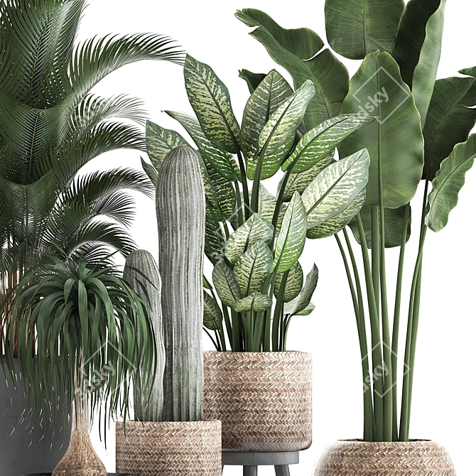 Exotic Plant Collection: Palms, Cacti, and More 3D model image 2