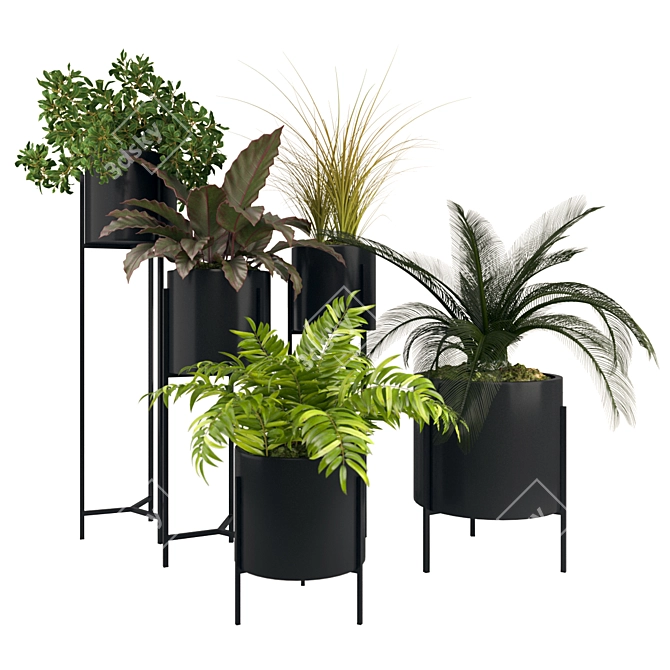 5-Piece Plant Collection: 3DMax, Vray, Obj 3D model image 1