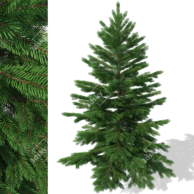 Realistic Christmas Tree for Exterior or Holiday Scenes 3D model image 1