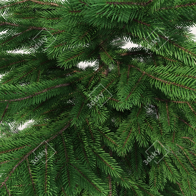 Realistic Christmas Tree for Exterior or Holiday Scenes 3D model image 2