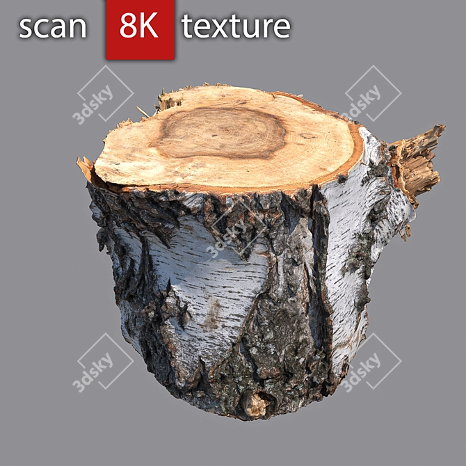 Detailed Stump 3D Model 3D model image 2