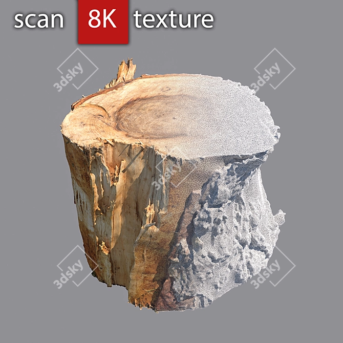 Detailed Stump 3D Model 3D model image 3