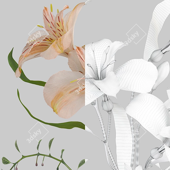 Title: Alstroemeria Vase Trio 3D model image 3