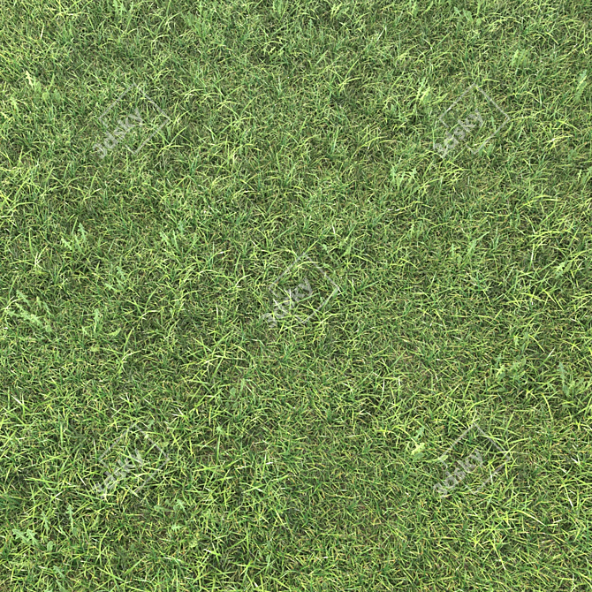 Realistic Grass Landscaping Model 3D model image 1