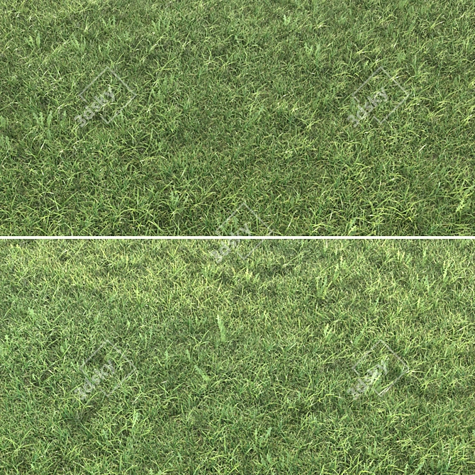 Realistic Grass Landscaping Model 3D model image 2