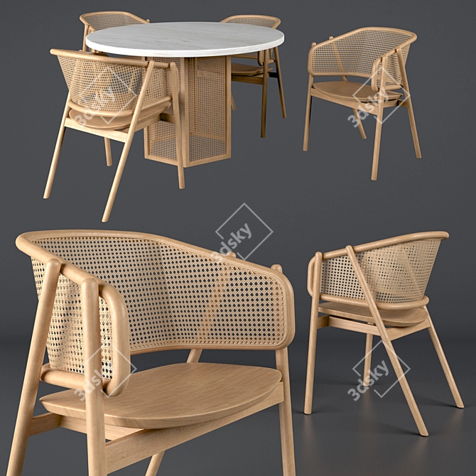 Contemporary Cane Armchair & Atrium Dining Table 3D model image 2