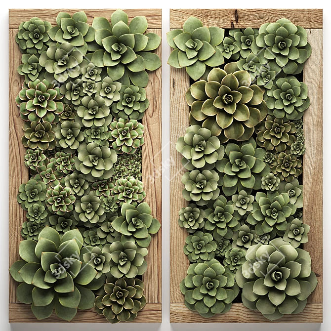 Echeveria Vertical Garden Module 3D model image 1