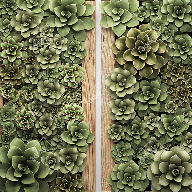 Echeveria Vertical Garden Module 3D model image 2