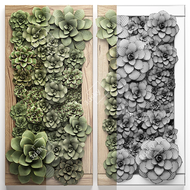 Echeveria Vertical Garden Module 3D model image 3