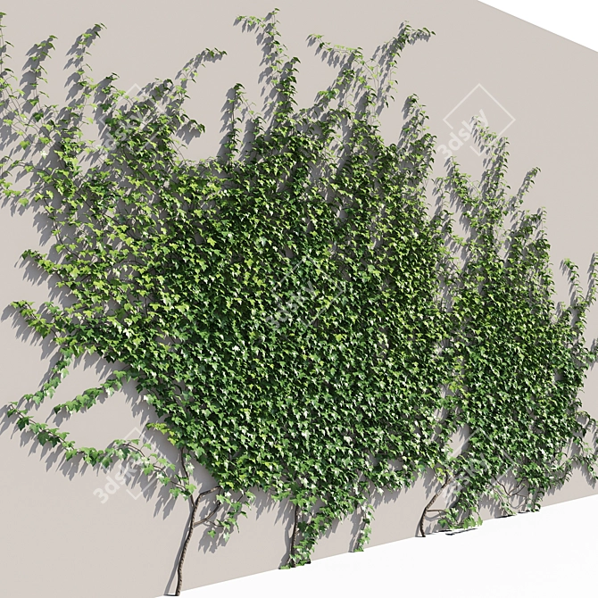 Polys Ivy Green Wall - 4000 mm 3D model image 2